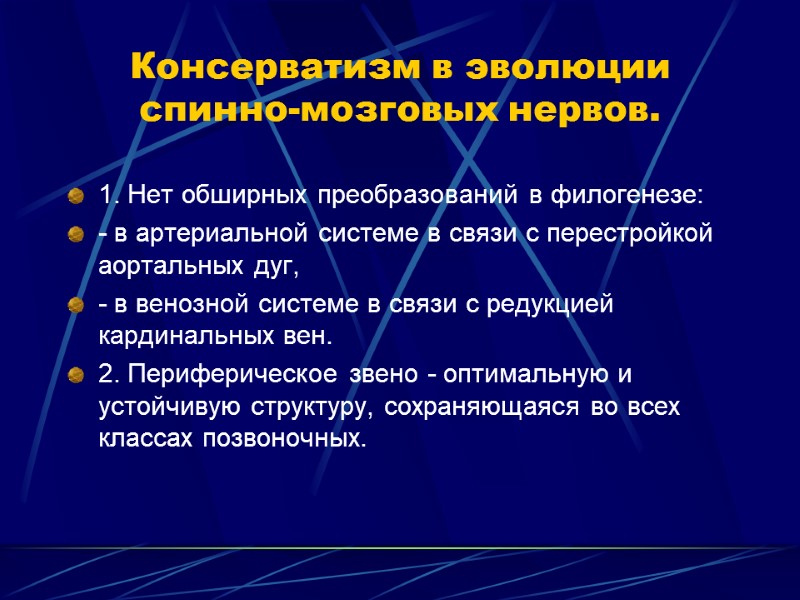 Консерватизм в эволюции спинно-мозговых нервов. 1. Нет обширных преобразований в филогенезе: - в артериальной